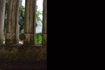 Ver aqui!